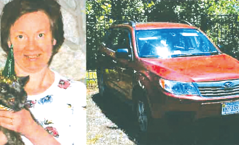 Missing for 10 years: Janet Renee Field