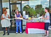 Sweet Art Emporium expands