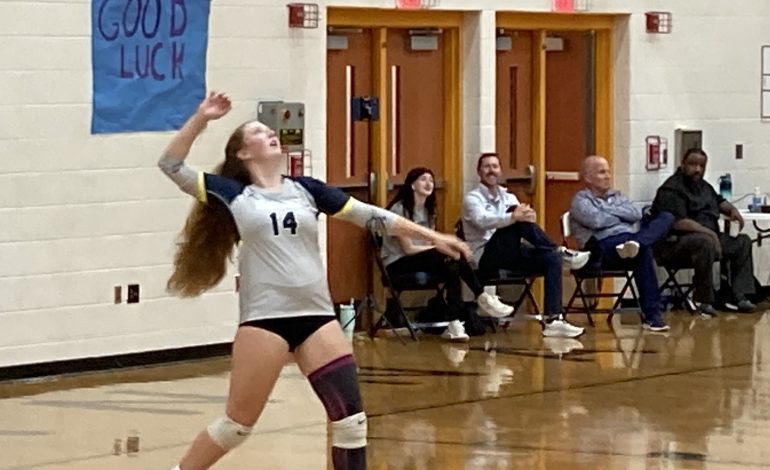 Fluco volleyball tops Wilson Memorial 3-0