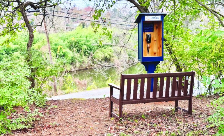 Hospice of the Piedmont Brings Telephone of the Wind to Charlottesville