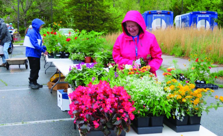 The Master Gardener plant sale