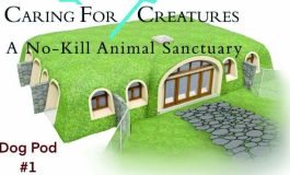 CFC raising funds to build green dog pod