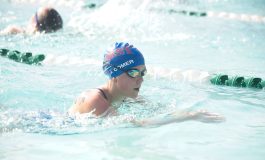 Sharks are back swimming