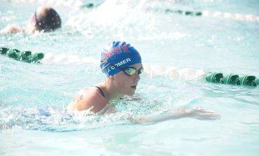 Sharks are back swimming