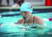 Sharks fall to the Frogs