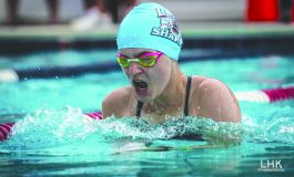 Sharks fall to the Frogs