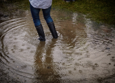 Virginia Conservation Assistance Program could help residents