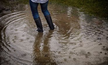 Virginia Conservation Assistance Program could help residents
