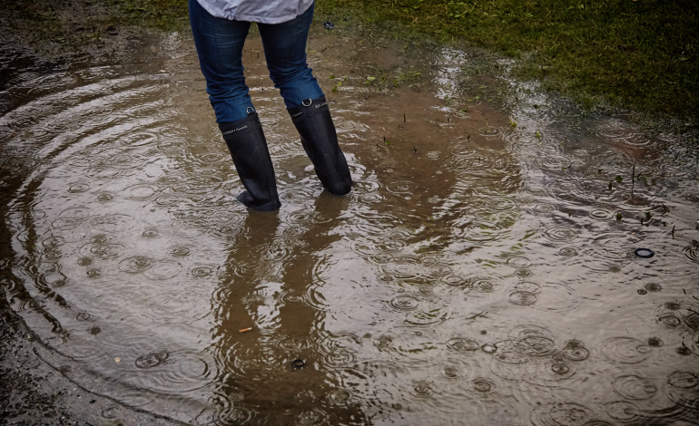 Virginia Conservation Assistance Program could help residents