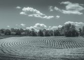 Summer in Fluvanna Photo Contest Wrap-Up