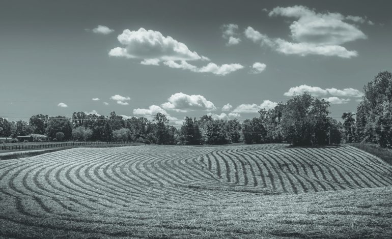 Summer in Fluvanna Photo Contest Wrap-Up