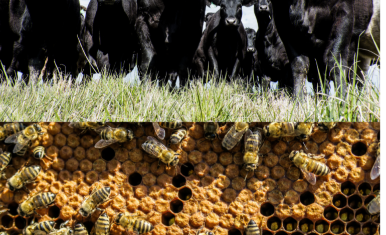Farming for generations in Fluvanna