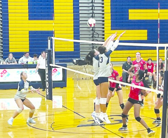 Fluco volleyball crushes Mills E. Godwin High School