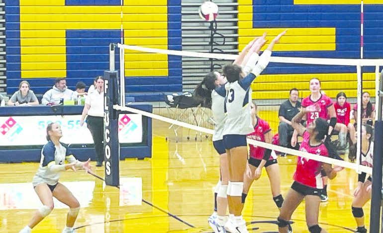 Fluco volleyball crushes Mills E. Godwin High School