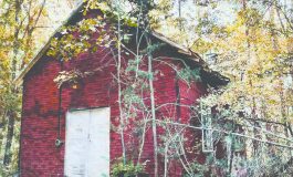 Fluvanna Art Association celebrates 50 years