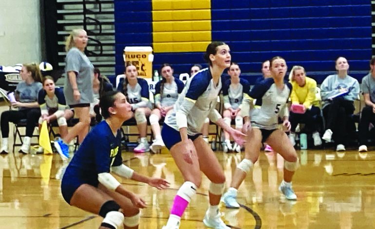 Fluco volleyball team goes to 12-1 with win over Monticello