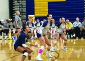 Fluco volleyball team goes to 12-1 with win over Monticello