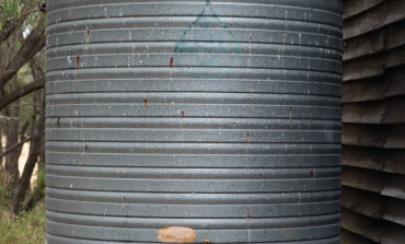 Saving water with rain barrels