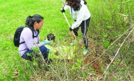 Interested in becoming a Master Gardener?