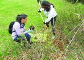 Interested in becoming a Master Gardener?