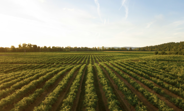 Farming in Virginia, the perks and challenges