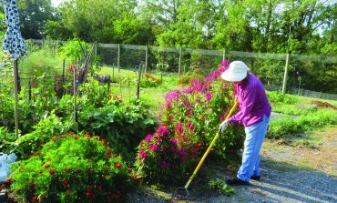 Now’s the time to visualize your Community Garden summer crops