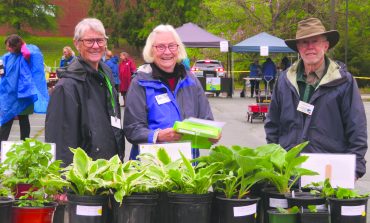 Spring planting starts here: Master Gardener sale set for May 2