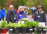 Spring planting starts here: Master Gardener sale set for May 2