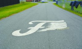 A big week for Fluco sports