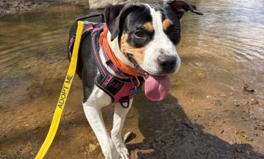Fluvanna SPCA expands programs and partnerships