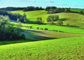 Planners call for rewrite of rural development policies