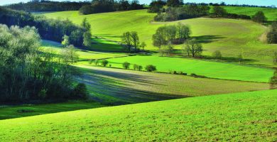 Planners call for rewrite of rural development policies