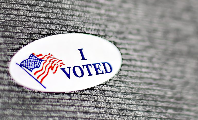 McGuire, Perriello dominate 5th District primaries