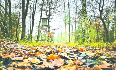 DWR urges tree stand safety as hunters return to woods